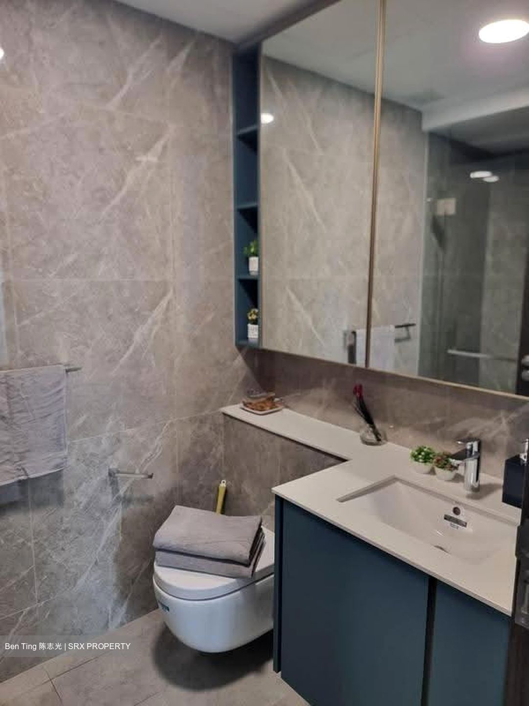 Clavon (D5), Apartment #628870681